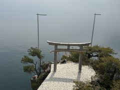 |N[Y(l`/i΋DD)̎ʐ^1