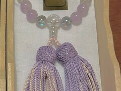 �N�b�L�[����̖������ւ̓��e�ʐ^1