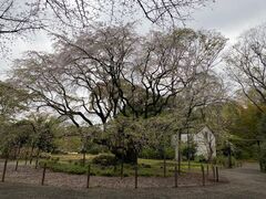 �V���^�C�i�[����̘Z�`���ւ̓��e�ʐ^1