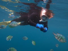 RRDIVE IN CHATANւ̓eʐ^1