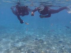 ͂ނ̃V[gx[ւ̓eʐ^1