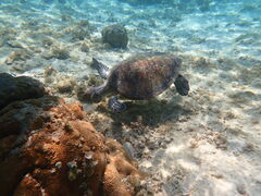 ͂ނ̃V[gx[ւ̓eʐ^2