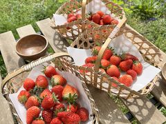 ܂񂳂̖уx[ւ̓eʐ^1