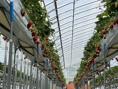 u{[pp̂Ȃt@[ւ̓eʐ^1