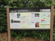 L̏i䏬̕yѓj̓eʐ^2