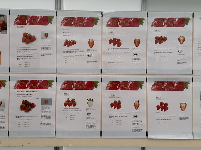 10��ނ�䕂��f���炵�������ł�_�����炬�@�������p�[�N