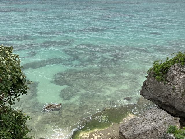 �C�Y��ł��B_������ЃZ�����A���u���[