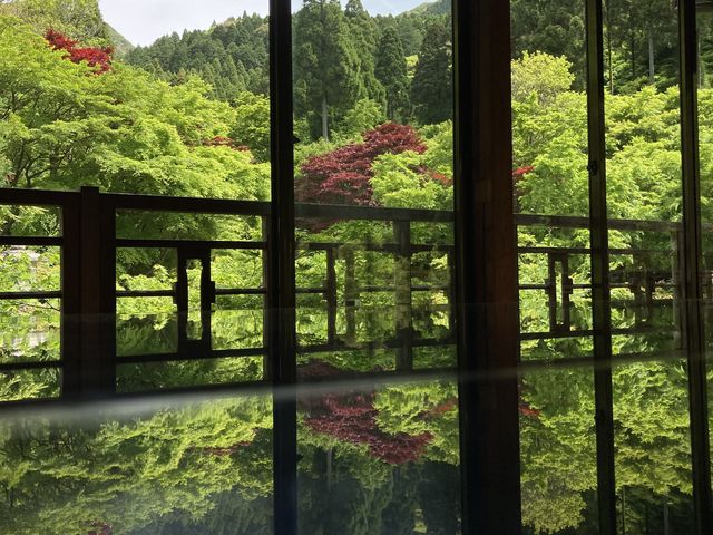 �t�͐V�΂������キ�����B_���|�p�̐X