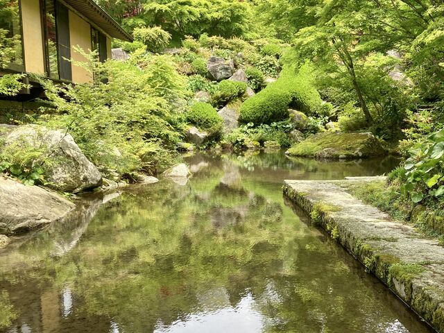 �r�̐��ʂɂ��؁X�����ˁI_���|�p�̐X