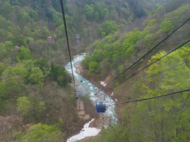 �J���!_�c��X�L�[��