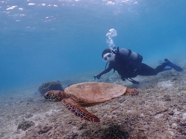 �E�~�K���ɂ���܂����I�I_���Ⴑ����