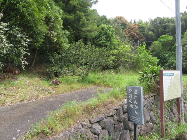 {}_Z^[
B~J˂̒n_{}_Z^[