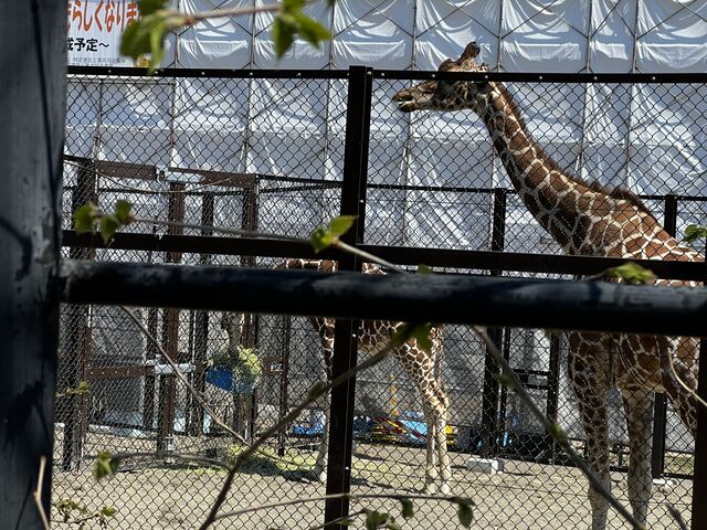 �V�z��_���тЂ듮����