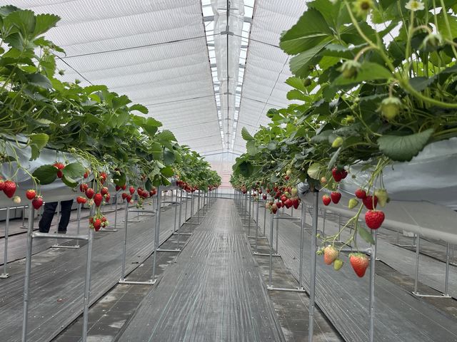 ������ނł��Â�������Ċy���������ł��B_�������C�ӂ̂��������s���F�t�F�����t