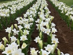 ̂Ԃ񂳂̊ЃZAu[ւ̓eʐ^2