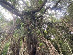 ̂Ԃ񂳂̃u[tB[hւ̓eʐ^3