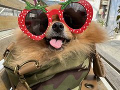 䂤񂳂Ciel farm(VGt@[jւ̓eʐ^1