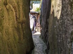 hidepo����̑��Y�V�{�ւ̓��e�ʐ^1