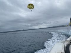 �݂�����̊�����Ѓu���[���O�[���I�L�i���ւ̓��e�ʐ^1