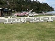 ɂႨ̃CJ̉w[̓eʐ^1