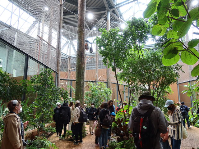 �M�щJ�т��Č�_�~�R������