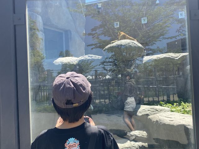 ���C�I��_�~�R������