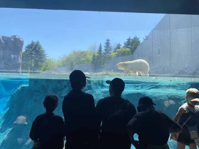 ������_�~�R������