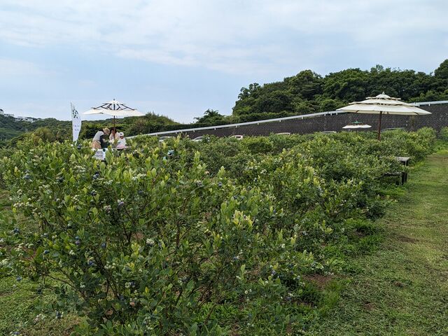 ��t�́A�u���[�x���[���̐^�񒆂ɂ���A�p���\���̕t�����e�[�u���ł����B_���������˔_��