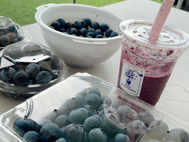 �u���[�x���[���������l�̓O�����v�Z�Ŏ����A����Ή��\�ł����B�e�C�N�A�E�g�݂͖̂����炵���ł�_�����u���[�x���[��