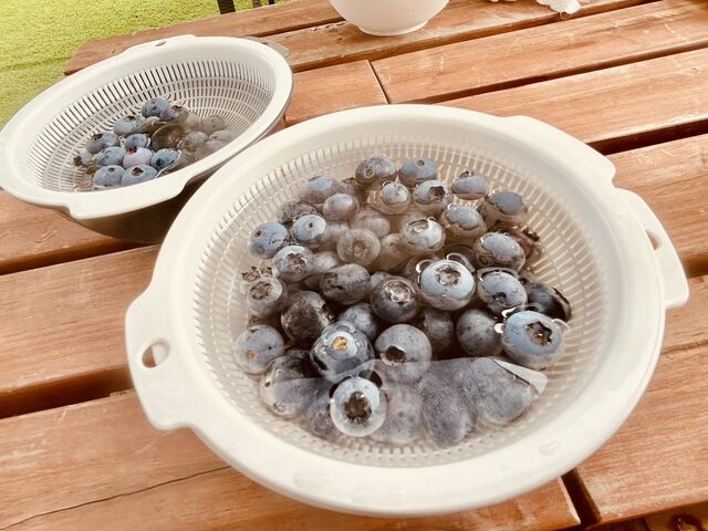 1�l1�A�U���{�[���ɕX�������������̂��؂�āA���������R�ɂ܂��܂��B�E��ŗ�₵�H�ׂ܂��B_�����u���[�x���[��