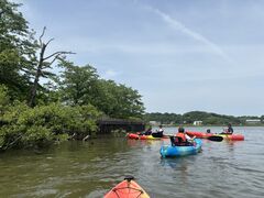 Shibayama slow̎ʐ^1