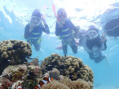 R񂳂̋{Ó} GB QUESTւ̓eʐ^2