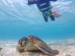 R񂳂̋{Ó} GB QUESTւ̓eʐ^3