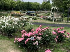 mew����̌��J�t�F �����R��1�l��炵�ւ̓��e�ʐ^1