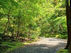 �̂�䂫����̎O���s�������@�y�����ւ̓��e�ʐ^1