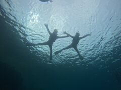 �v��������̕��������ւ̓��e�ʐ^1