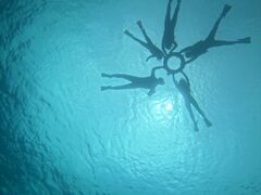 [̃}Nu Gigiւ̓eʐ^1