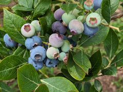 hidepô˔_ւ̓eʐ^1