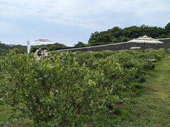 hidepô˔_ւ̓eʐ^2