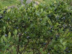 hidepô˔_ւ̓eʐ^3