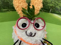 ̂̂̂̃nYLXybgւ̓eʐ^1