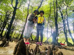 コ̂ЂI[VYւ̓eʐ^1