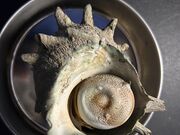 V^Ci[̏M˂̔ԉ̓eʐ^5