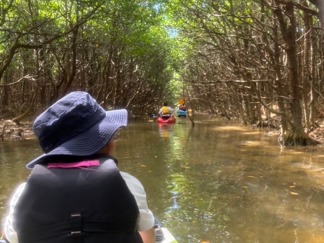 �T�{���Ă閺_���΂�D�N���u