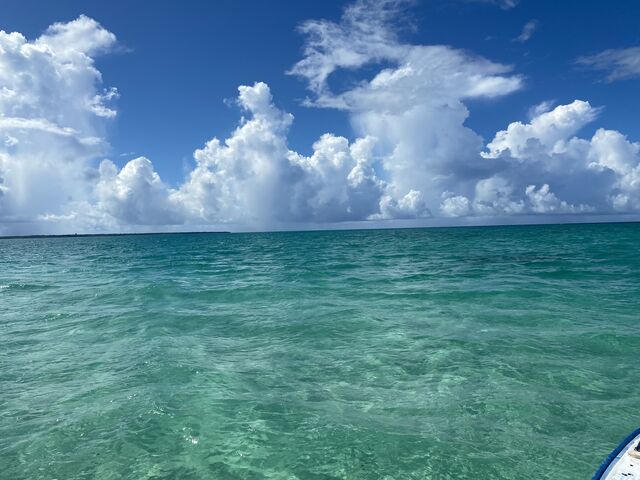 �����ʂ����C_�A�N�A�u���[