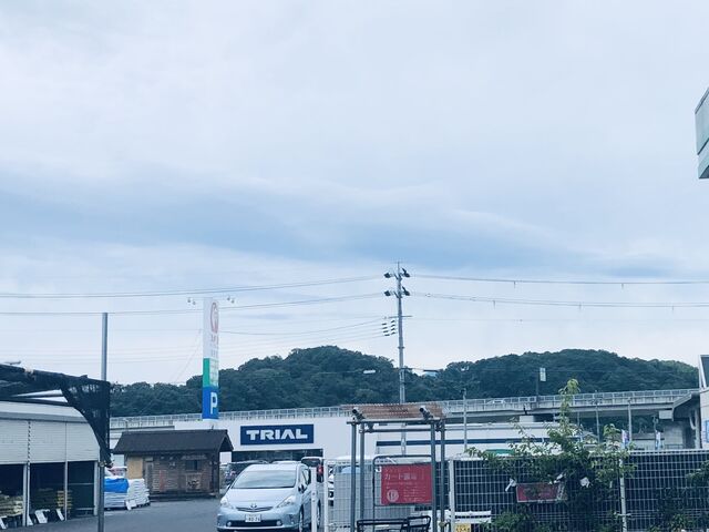 �����ڂ�����̐{��_�Ђ̓��e�ʐ^1