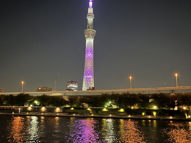 �X�J�C�c���[��D�̏ォ�猩�܂����B�ƂĂ��Y��ł����B_�ސV