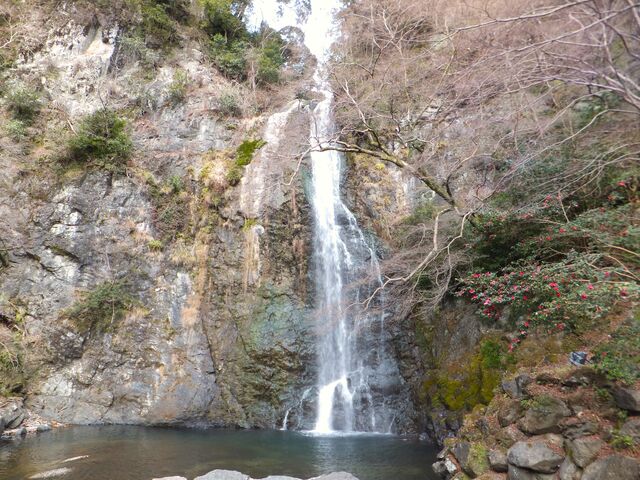 ~͂̌iF̒ɁAg_̒ւ̉ԂۗB_ʑ