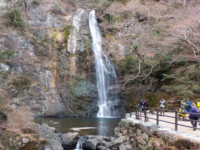 ₩疥ʐւƒoԌLB_ʑ