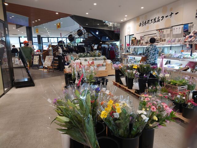 ̓̉w@XeBÁE̓eʐ^1